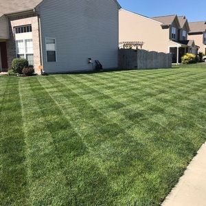 Meet your Posher, Bo